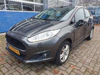 Damaged car Ford Fiesta 1.0 Titanium 2016/7