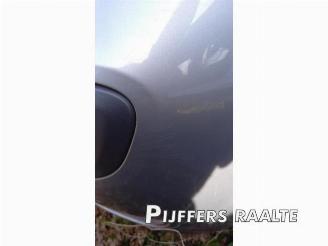 Fiat Punto Punto Evo (199), Hatchback, 2009 / 2012 1.3 JTD Multijet 85 16V Euro 5 picture 18