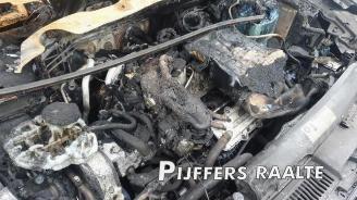 Volkswagen Polo Polo VI (AW1), Hatchback 5-drs, 2017 1.0 TSI 12V BlueMotion picture 13