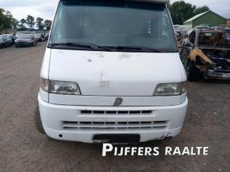 Fiat Ducato Ducato (230/231/232), Ch.Cab/Pick-up, 1994 / 2002 2.8 id TD picture 3