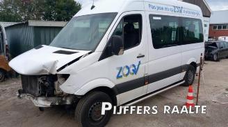 Vrakbiler auto Mercedes Sprinter Sprinter 3,5t (906.73), Bus, 2006 / 2020 316 NGT 2016/8