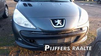 Peugeot 206 206+ (2L/M), Hatchback, 2009 / 2013 1.4 XS picture 6