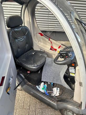 Mango  Napoleon picture 10