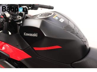 Kawasaki Ninja 500 SE  picture 18