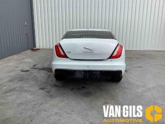 Jaguar XJ XJ (X351), Sedan, 2009 / 2019 3.0 D V6 24V picture 3