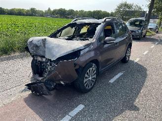 Peugeot 2008 1.2 VTi picture 2