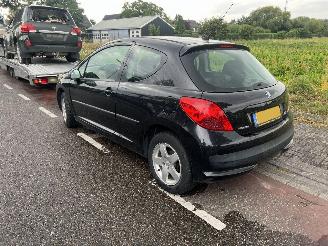 Peugeot 207 1.4 picture 4