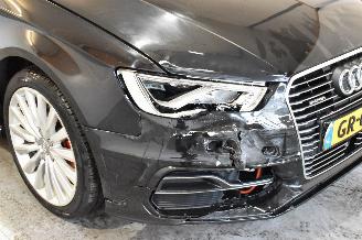 Audi A3 SPORTBACK E-TRON picture 9