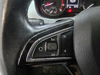 Skoda Fabia 1.2 TSI First Edition Ambition picture 29