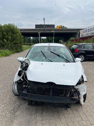 Ford Fiesta  picture 1