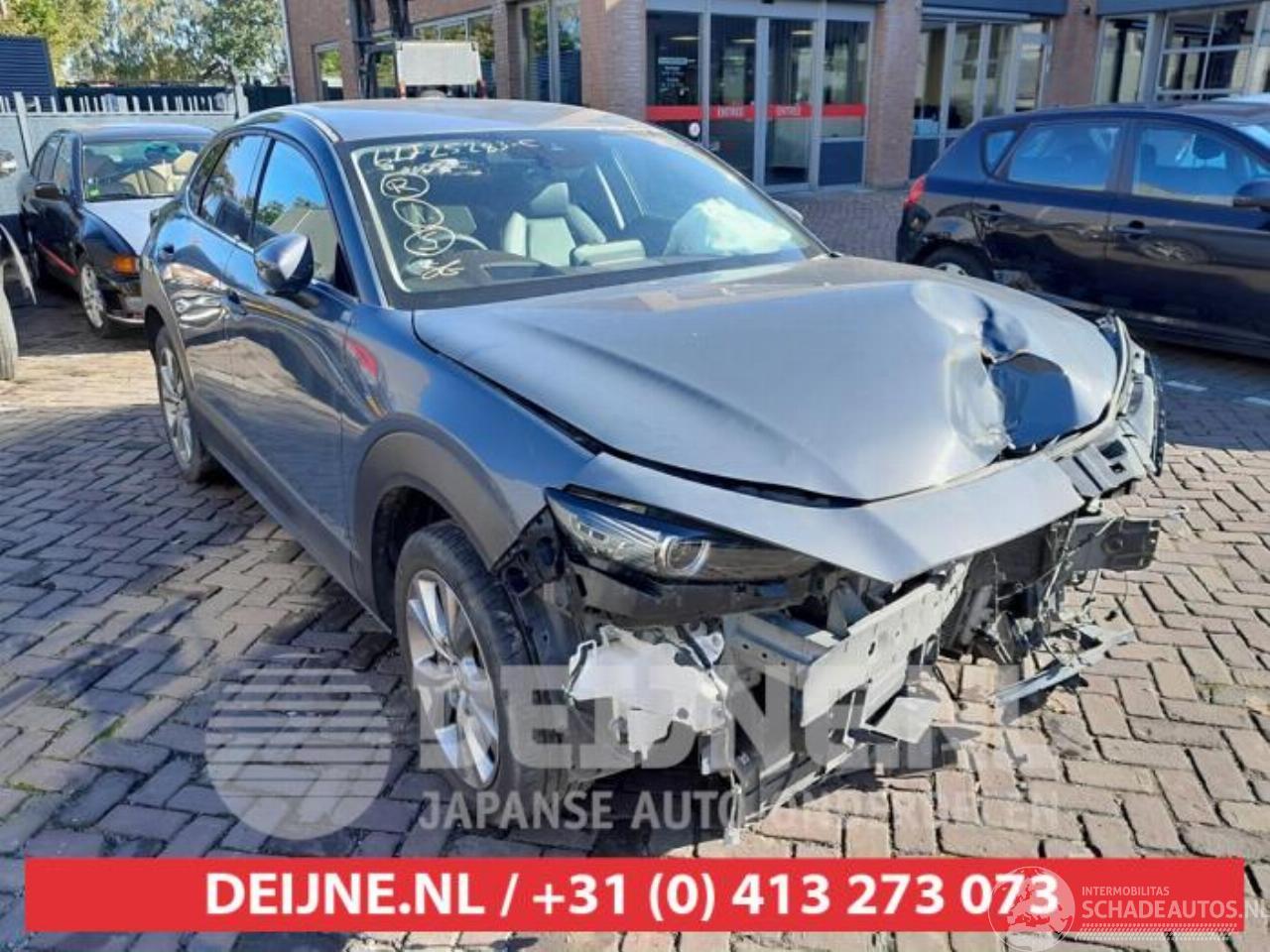 Mazda CX-30 CX-30 (DM), SUV, 2019 2.0 e-SkyActiv-G 122 16V