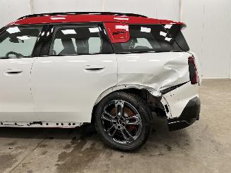 Mini Countryman 2.0 JCW ALL4 Autom. 221kw Navi Clima picture 16