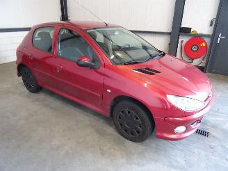 Peugeot 206 1.4 picture 3