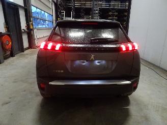 Peugeot 2008 1.2 THP picture 2
