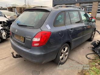 Skoda Fabia Fabia II Combi, Combi 5-drs, 2007 / 2015 1.2 TDI 12V Greenline picture 3