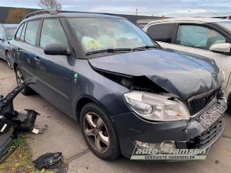 Skoda Fabia Fabia II Combi, Combi 5-drs, 2007 / 2015 1.2 TDI 12V Greenline picture 2