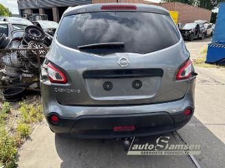 Nissan Qashqai+2 Qashqai +2 (JJ10E), SUV, 2007 / 2014 2.0 16V picture 4