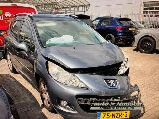 Peugeot 207 207 SW (WE/WU), Combi, 2007 / 2013 1.6 16V VTRi picture 14