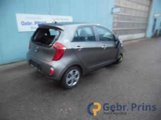 disassembly passenger cars Kia Picanto Picanto (TA), Hatchback, 2011 / 2017 1.2 16V 2011/9