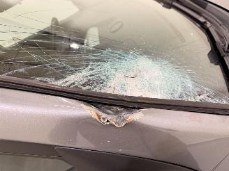 Kia Sportage 2.0 CCVT Executive Clima picture 38