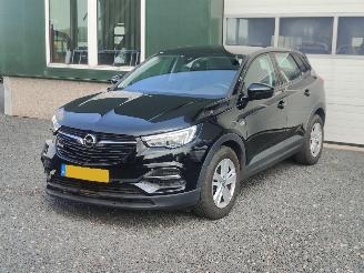  Opel Grandland 1.2 Turbo Edition Cruise Trekhaak 2020/1