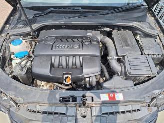 Audi A3 A3 Cabriolet (8P7), Cabrio, 2008 / 2013 1.6 picture 16