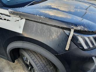 Peugeot 2008 P24E GT 1.2P Aut. picture 43