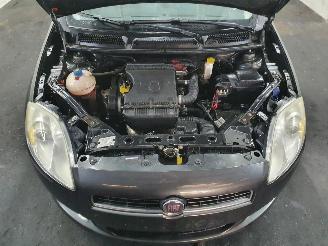 Fiat Bravo Dynamic picture 15