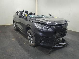  Ford Kuga DFK 2.5 PHEV ST-Line 2021/8