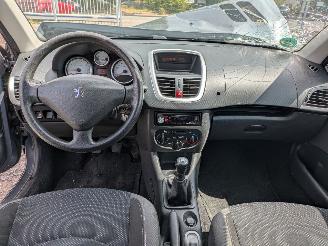 Peugeot 206+ 1.4 picture 11