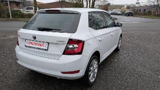 Skoda   picture 5