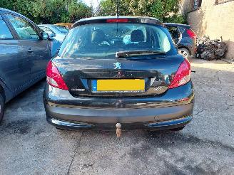 Peugeot 207  picture 1