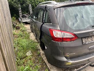 Ford Grand C-Max  picture 6