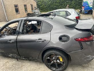 Dezmembrări autoturisme Alfa Romeo Giulia  2017/6