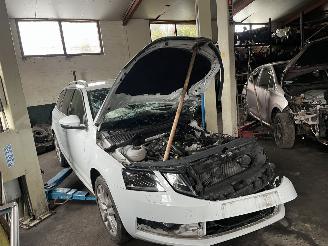 Sloopauto Skoda Octavia 1.0 tsi 2019/5