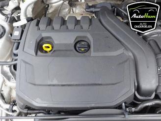 Volkswagen Golf Golf VIII (CD1), Hatchback, 2019 1.5 TSI BlueMotion 16V picture 14