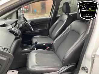 Ford EcoSport  picture 19