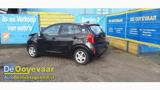 Uttjänta bilar auto Kia Picanto Picanto (JA), Hatchback, 2017 1.0 12V 2020/3