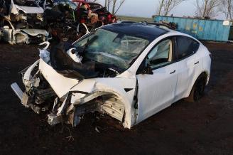 disassembly passenger cars Tesla Model Y Model Y (5YJY), SUV, 2019 RWD 2024/3