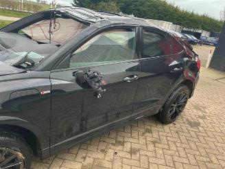 Audi Q3 Q3 Sportback (F3N), SUV, 2019 1.4 45 TFSIe 16V picture 33