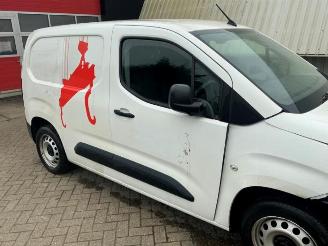 Opel Combo Combo Cargo, Van, 2018 1.6 CDTI 100 picture 24