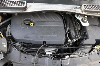 Ford Kuga Kuga II (DM2), SUV, 2012 1.5 EcoBoost 16V 120 picture 9