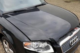 Audi A4 A4 Cabrio (B7), Cabrio, 2006 / 2009 1.8 T 20V picture 33