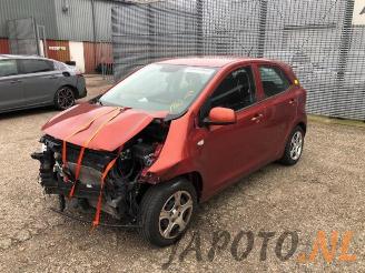 disassembly passenger cars Kia Picanto Picanto (JA), Hatchback, 2017 1.0 12V 2019/8