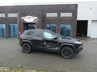  Jeep Cherokee 3.2 V6 TRAILHAWK 4WD L 2017/6