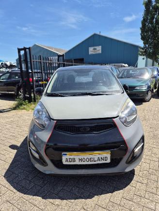 Auto da rottamare Kia Picanto (TA) Hatchback 1.0 12V (G3LA) [51kW] 5-BAK 2013/1