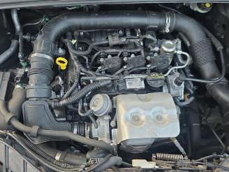 Ford Focus  picture 11