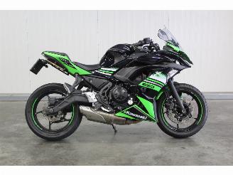 Kawasaki Ninja 650 ABS picture 3
