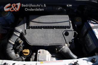 Opel Combo Combo, Van, 2012 / 2018 1.3 CDTI 16V ecoFlex picture 15