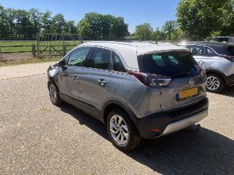 Opel Crossland PANODAK picture 4